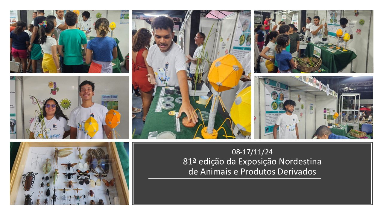 81-exposicao-2024